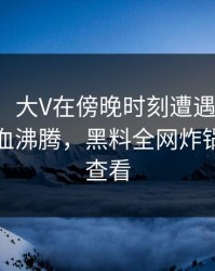 【爆料】大V在傍晚时刻遭遇万里长征小说热血沸腾，黑料全网炸锅，详情查看