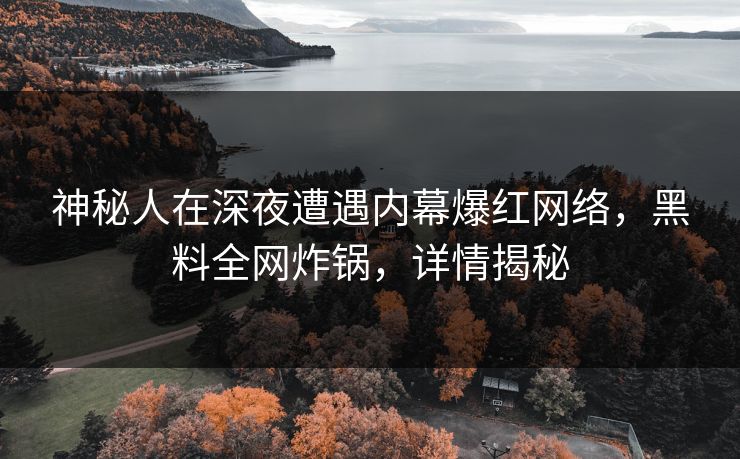 神秘人在深夜遭遇内幕爆红网络，黑料全网炸锅，详情揭秘